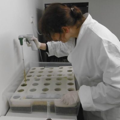 Screening test to investigate effects of pesticides on a species community in the laboratory