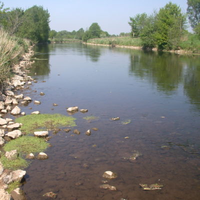 Lowland stream