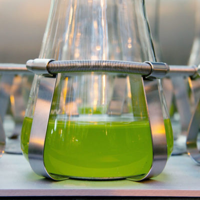 Test vessels for green algae (Desmodesmus subspicatus)