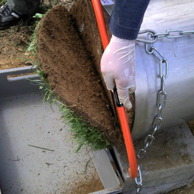 TME Bodenkern bei der Zerlegung in Bodenschichten zur Regenwurmbeprobung