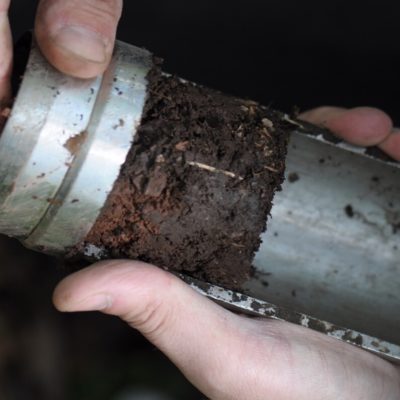 Soil corer for sampling microarthropods living in the soil